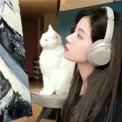 一千零一只手